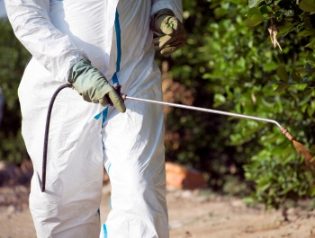 fumigation & pest control